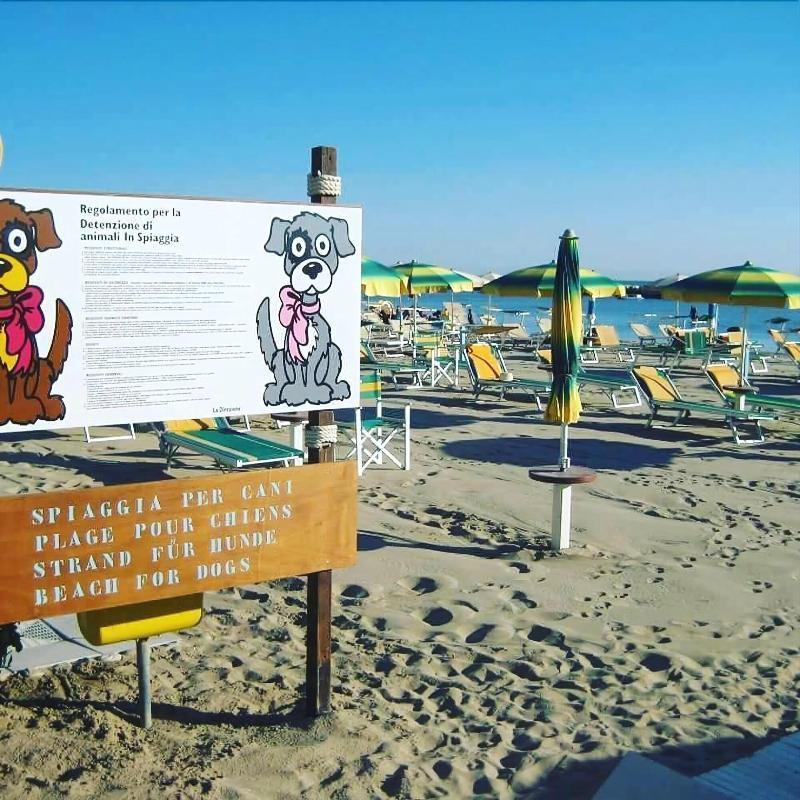 Hotel Alsen Ρίμινι Εξωτερικό φωτογραφία